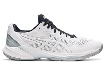 Asics Erkek SKY ELITE FF 2 Voleybol Ayakkabısı TR751CB